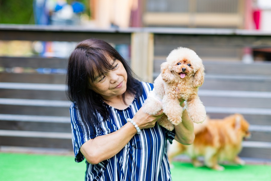 プリティードッグハウス檀